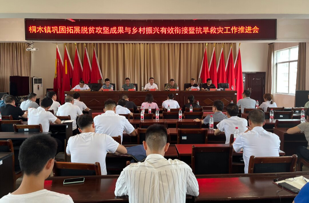 中方县桐木镇巩固拓展脱贫攻坚成果与乡村振兴有效衔接暨抗旱救灾工作推进会召开