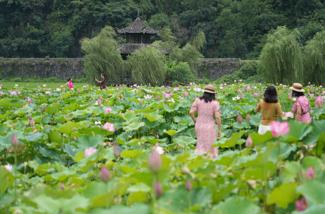 打好经济增长主动仗|中方新建：避暑催热“清凉游”