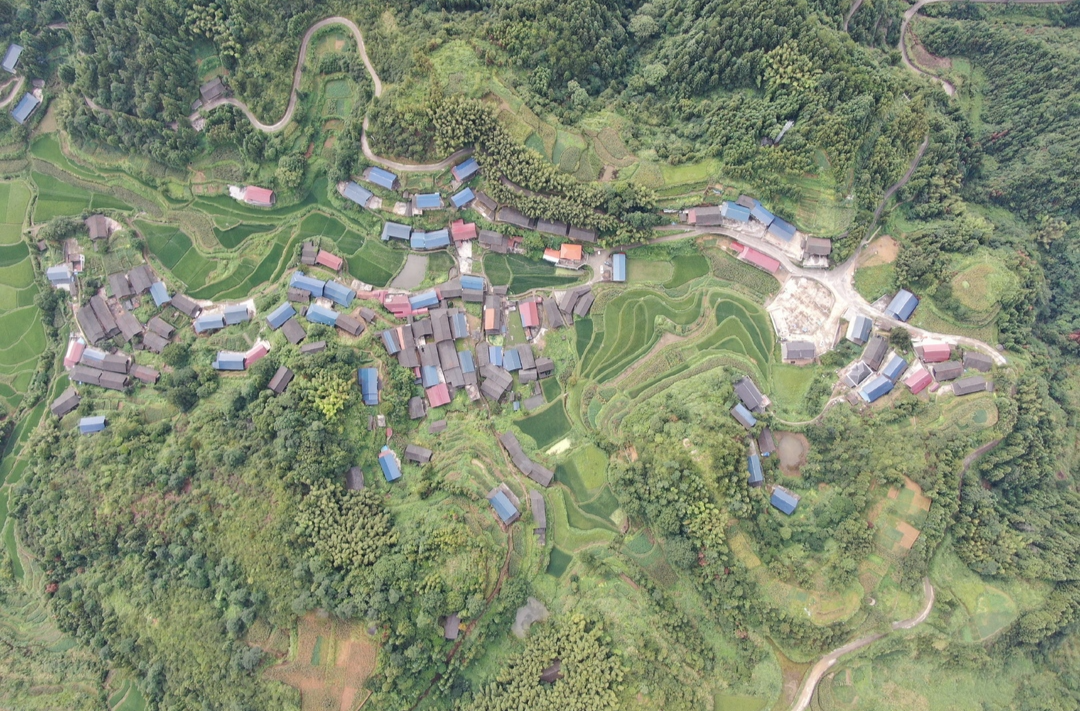希望的田野|中方县干冲村：发展特色产业 助力乡村振兴