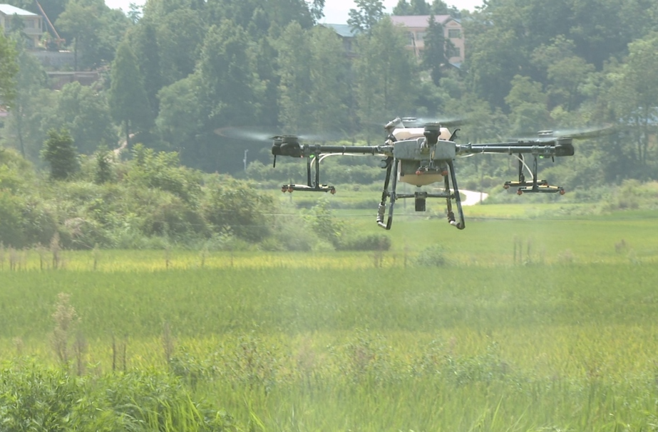 视频|中方县推广化肥减量增效“三新”技术 助力农业发展