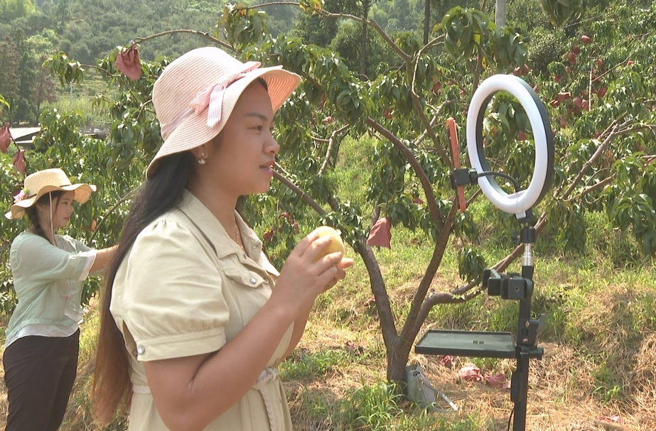 视频|中方县：电商助农，拓宽农产品销路
