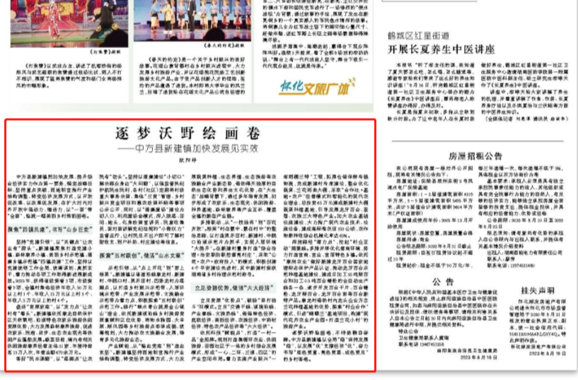 怀化日报|逐梦沃野绘画卷 ——中方县新建镇加快发展见实效