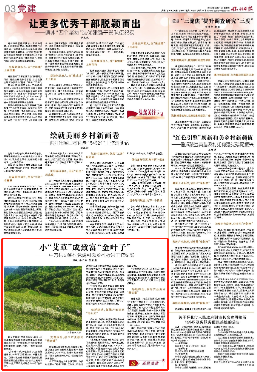 怀化日报|小“艾草”成致富“金叶子” ———中方县助溪村党建引领乡村振兴工作纪实