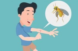 虫咬后涂抹风油精导致“伤”上加“伤”，专家提醒千万别乱涂！