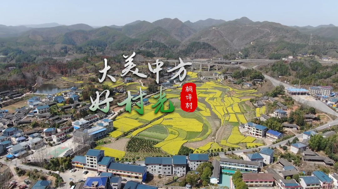 视频|大美中方好村光——桐坪村