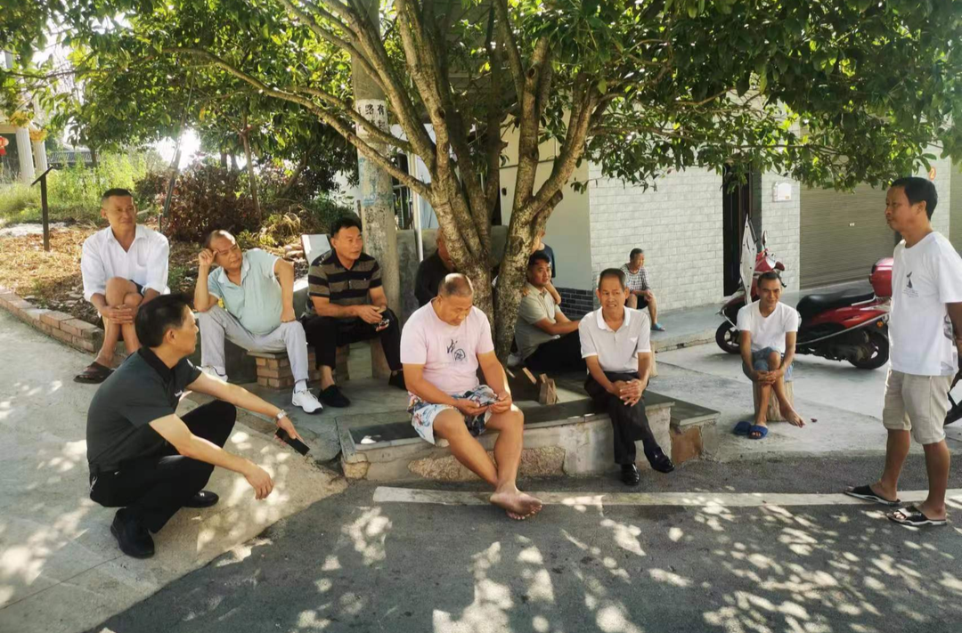中方桐木：自治自理“小屋场”  宜家宜居“大治理”