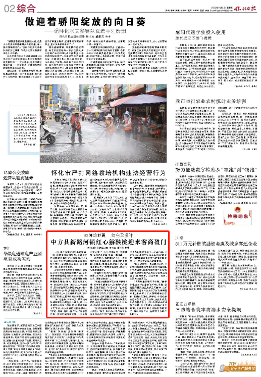 怀化日报|皮薄如蝉翼 纯甜又多汁  中方县新路河镇红心猕猴桃迎来客商盈门