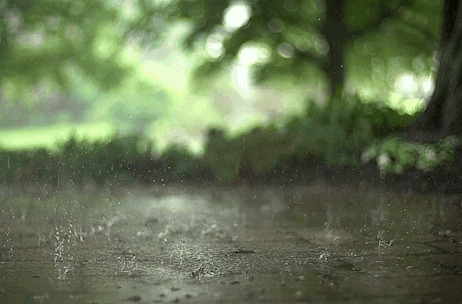 雨水加速入秋进程 12日起，气温降幅达6℃至8℃