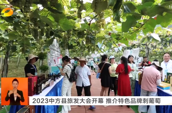 湖南新闻联播|2023中方县旅发大会开幕 推介特色品牌刺葡萄
