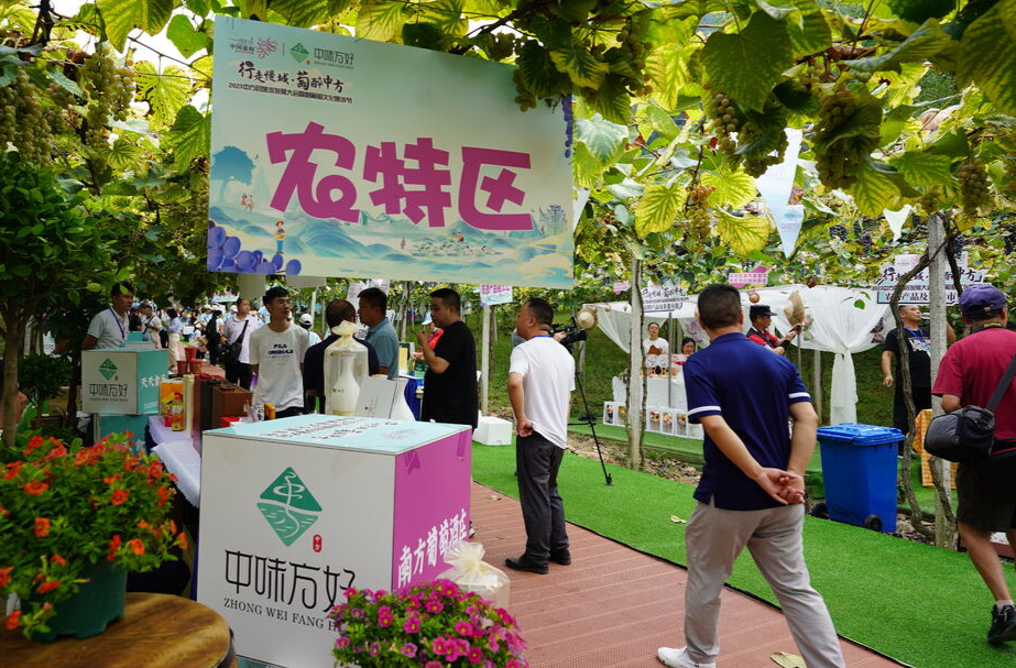 助农产品出圈 “中味方好”特色农产品展销会暨非遗集市火热开市