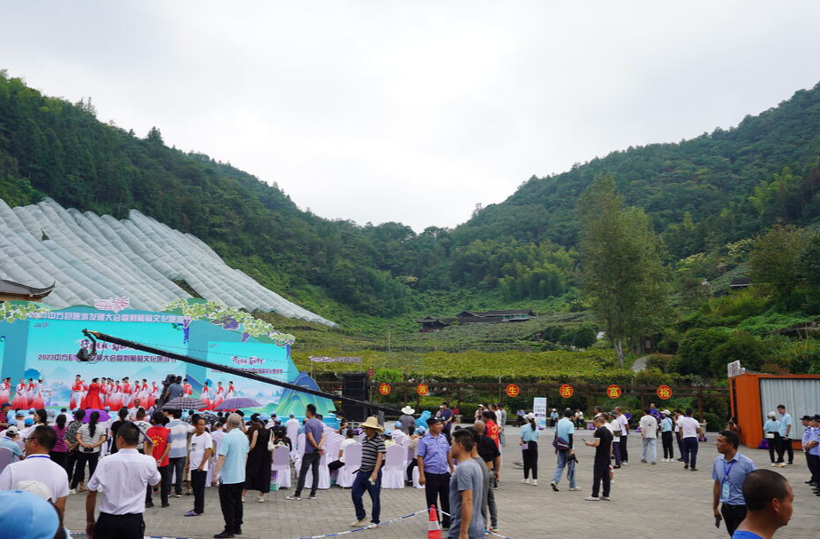 中方县：葡萄搭台 旅游唱戏 农旅融合助振兴