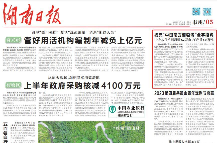 湖南日报｜擦亮“中国南方葡萄沟”金字招牌 中方刺葡萄年产量8.5万吨