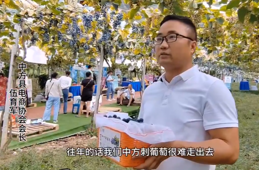 红网时刻|怀化中方刺葡萄又上新！今年包装创新助葡萄更鲜