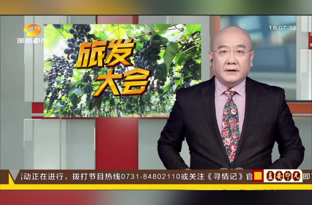 都市一时间|“行走慢城 萄醉中方”中方县旅发大会今日开幕：“湘珍珠”刺葡萄 推介“一县一品”特色品牌