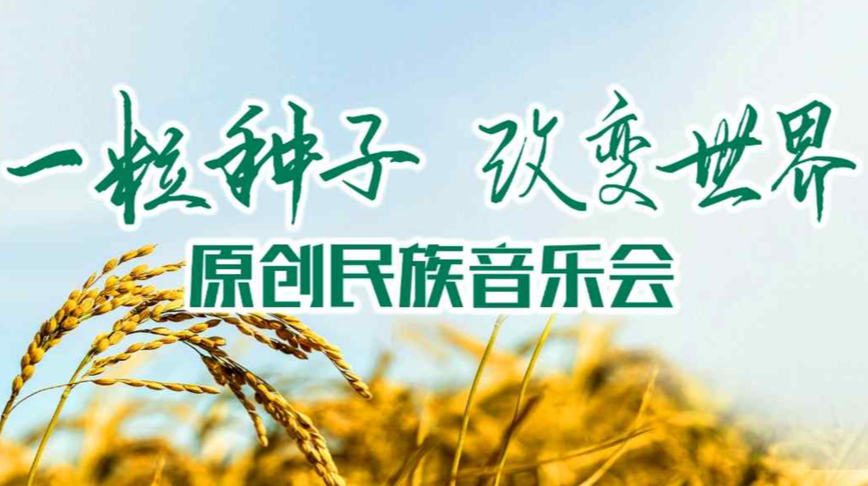 “一粒种子 改变世界”原创民族音乐会（怀化）
