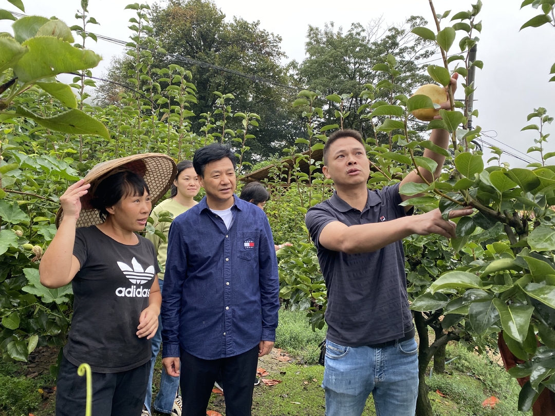 中方县林业局：“送技术”下乡  助力特色产业提质增效