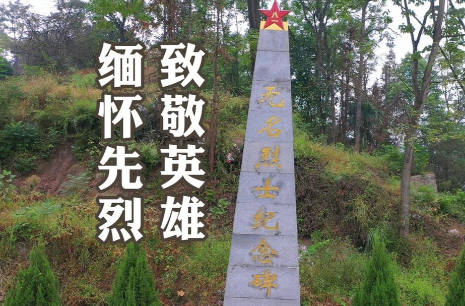 视频|中方县举行烈士纪念日活动