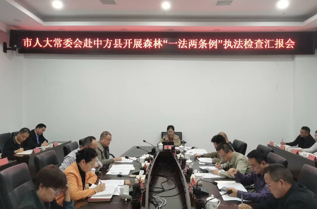 市人大常委会赴中方县开展森林“一法两条例”执法检查汇报会召开