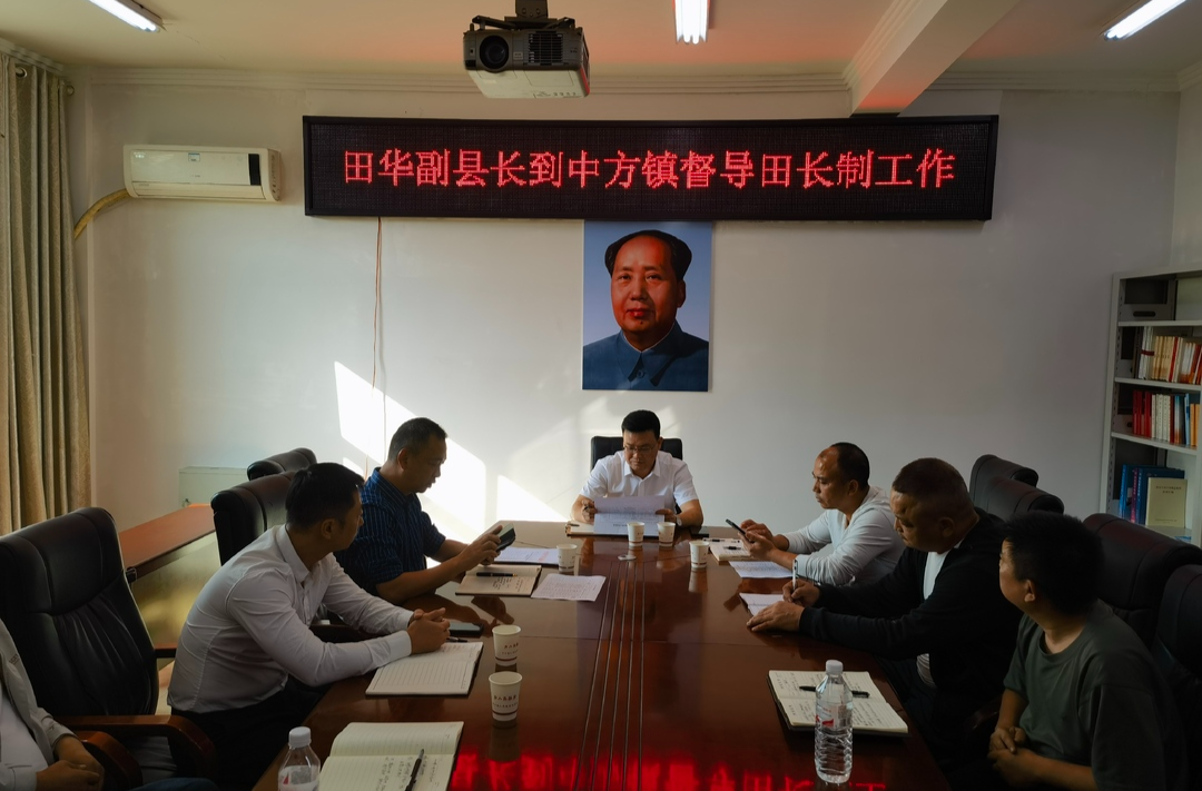 耕地保护 中方行动|县领导到中方镇督导田长制工作
