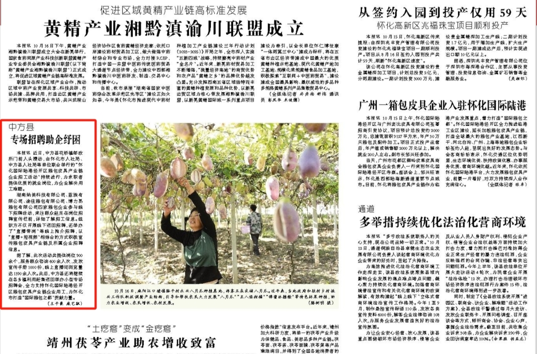 怀化日报|中方县专场招聘助企纾困