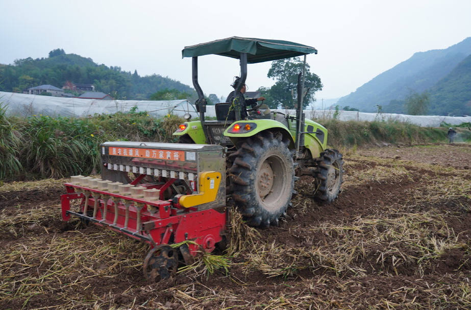 视频｜中方县：机械化播种油菜 让冬闲田不再“闲”