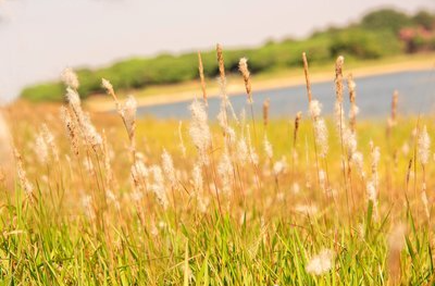 11月初全省最高气温将冲击30℃—— 今年会是“暖冬”吗