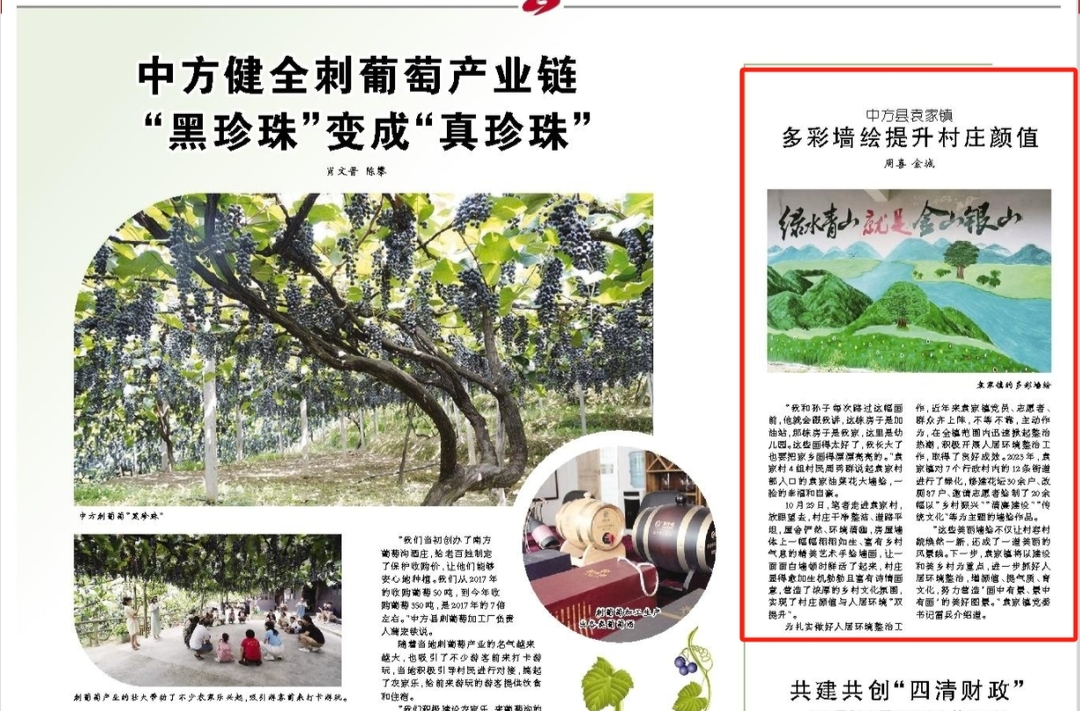 怀化日报|中方县袁家镇多彩墙绘提升村庄颜值