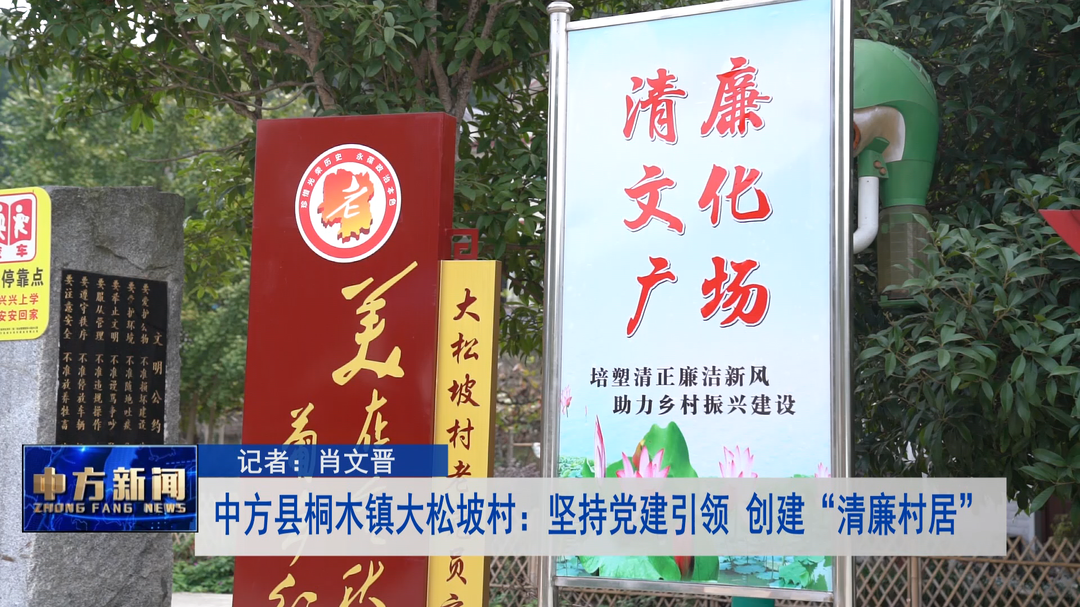 中方县桐木镇大松坡村：坚持党建引领 创建“清廉村居”