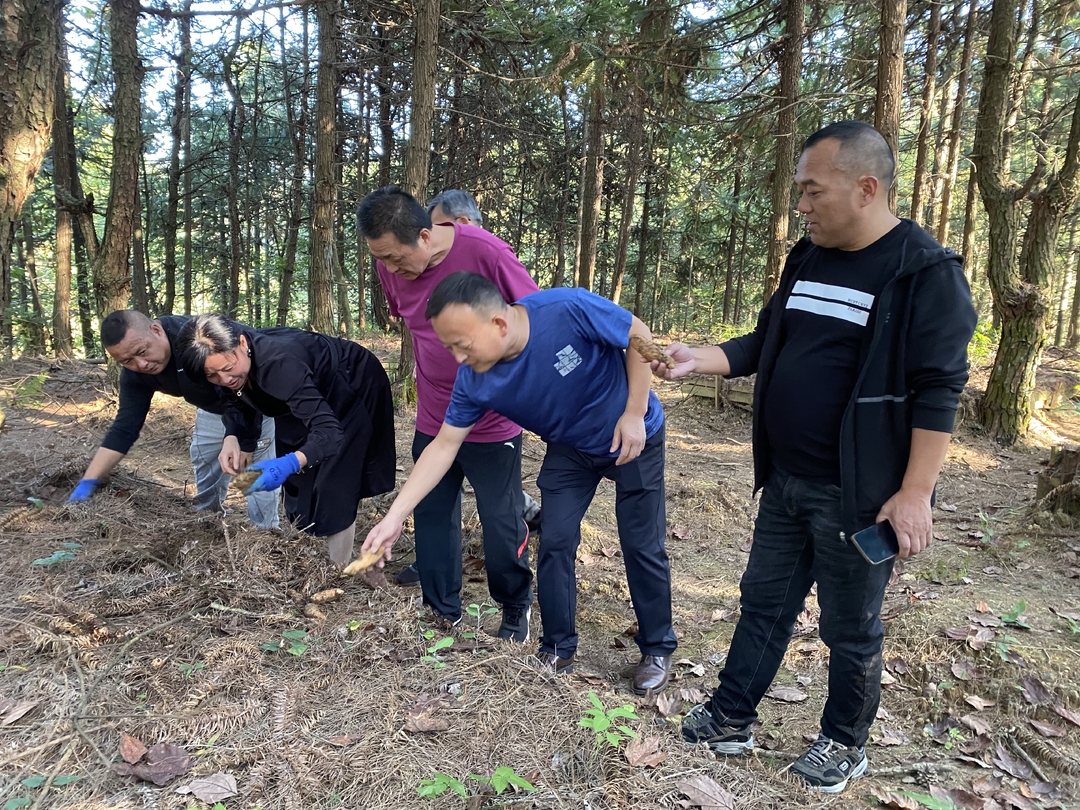 打好优化发展环境持久仗|中方县林业局： 优化林业营商环境  助力经济发展