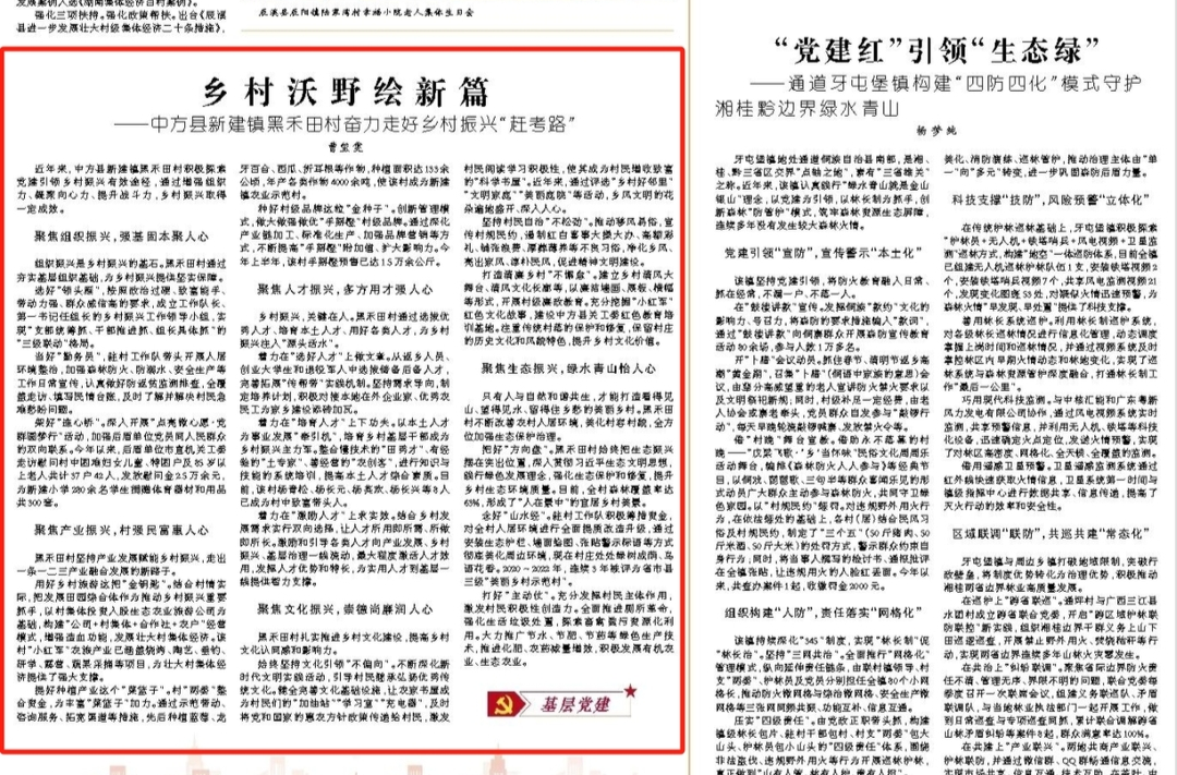 怀化日报|乡村沃野绘新篇 ——中方县新建镇黑禾田村奋力走好乡村振兴“赶考路”