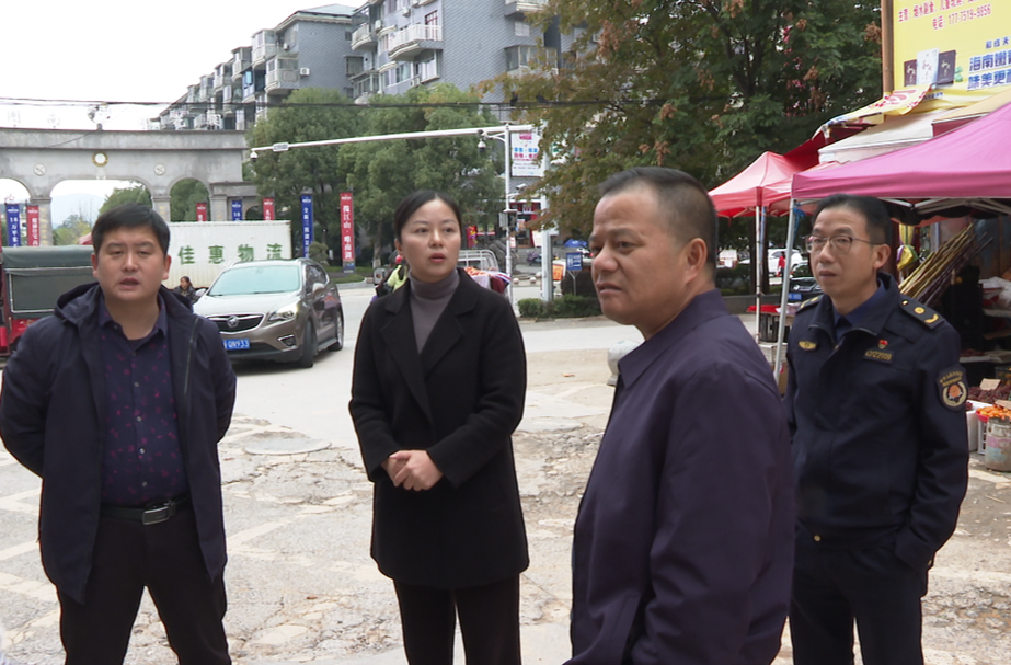 中方县开展巩固国家卫生县工作调研活动