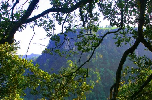 守护美丽生灵  擦亮生态底色 ——中方县生物多样性保护工作实践