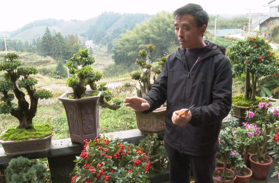 中方县铁坡镇梨花村：庭院“盆景”变“美景” 乡村环境焕新姿