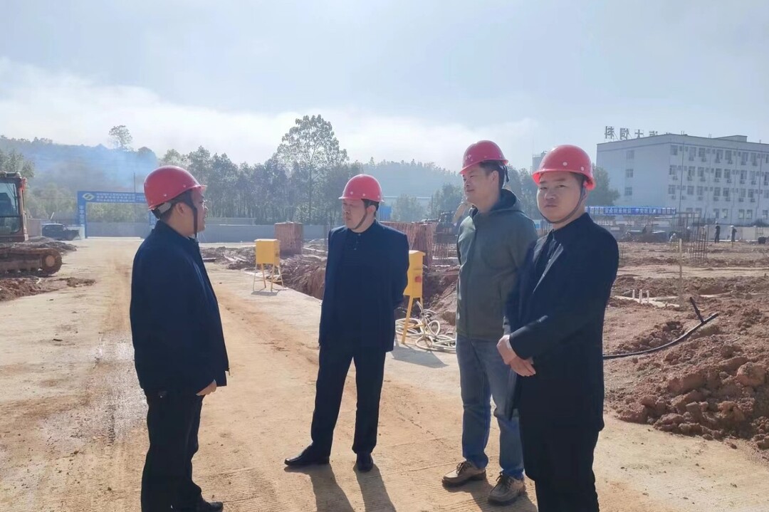 县领导对鹤中一体化项目进行督导巡查