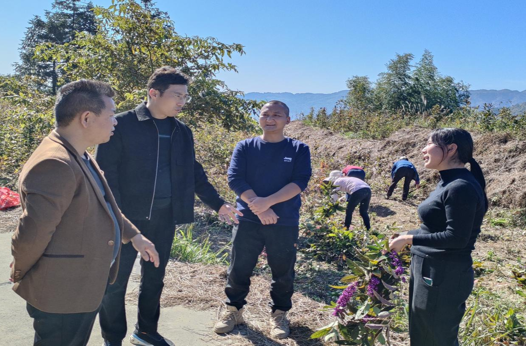 中方县委统战部调研督导民族产业项目建设  优化产业发展环境