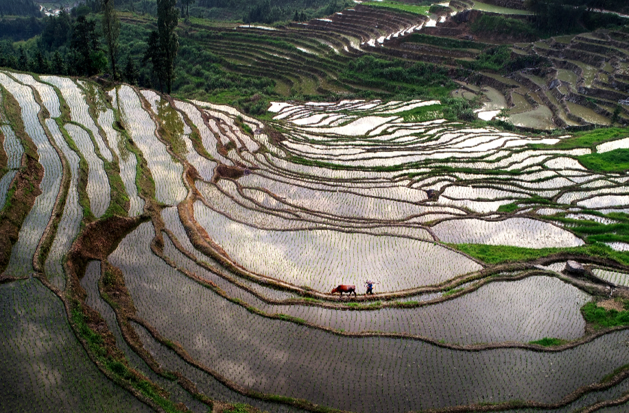 央广网|湖南中方：坚持党建引领 打造和美乡村