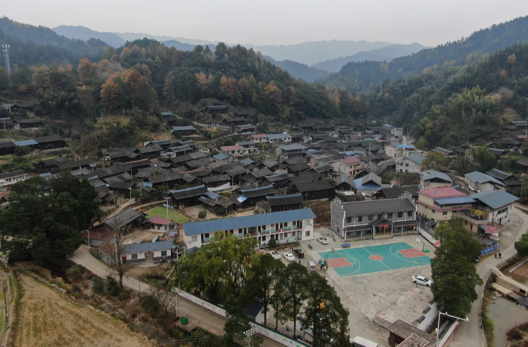发挥自身优势，建设美丽龙溪 ——市民政局驻龙溪村乡村振兴工作队工作纪实