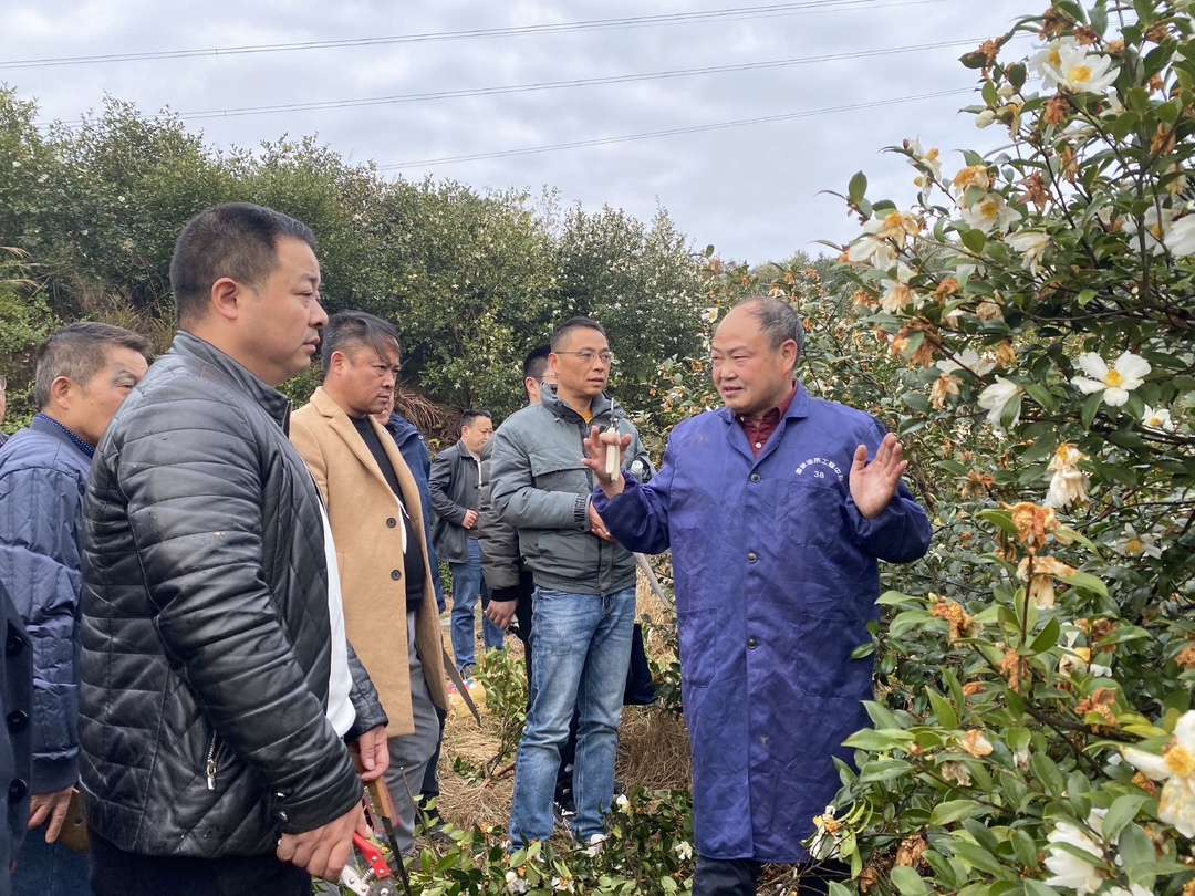 怀化市2023年油茶种植技术现场培训会在中方县开展
