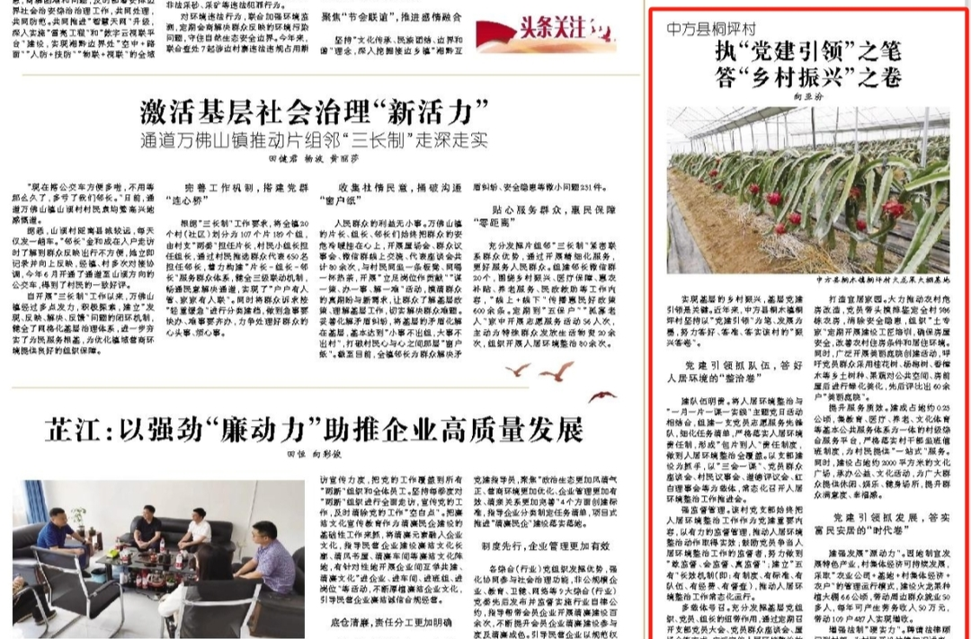 怀化日报|中方县桐坪村执“党建引领”之笔 答“乡村振兴”之卷