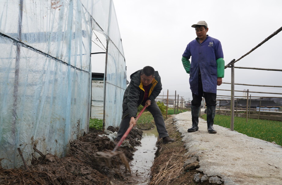 希望的田野|中方：农技人员田间地头指导 全力防范应对低温雨雪天气