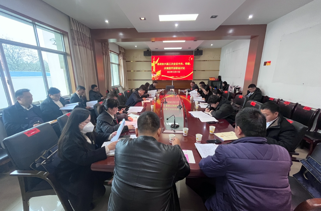 两会报道|政协委员分组协商县政协常委会工作报告、提案工作报告