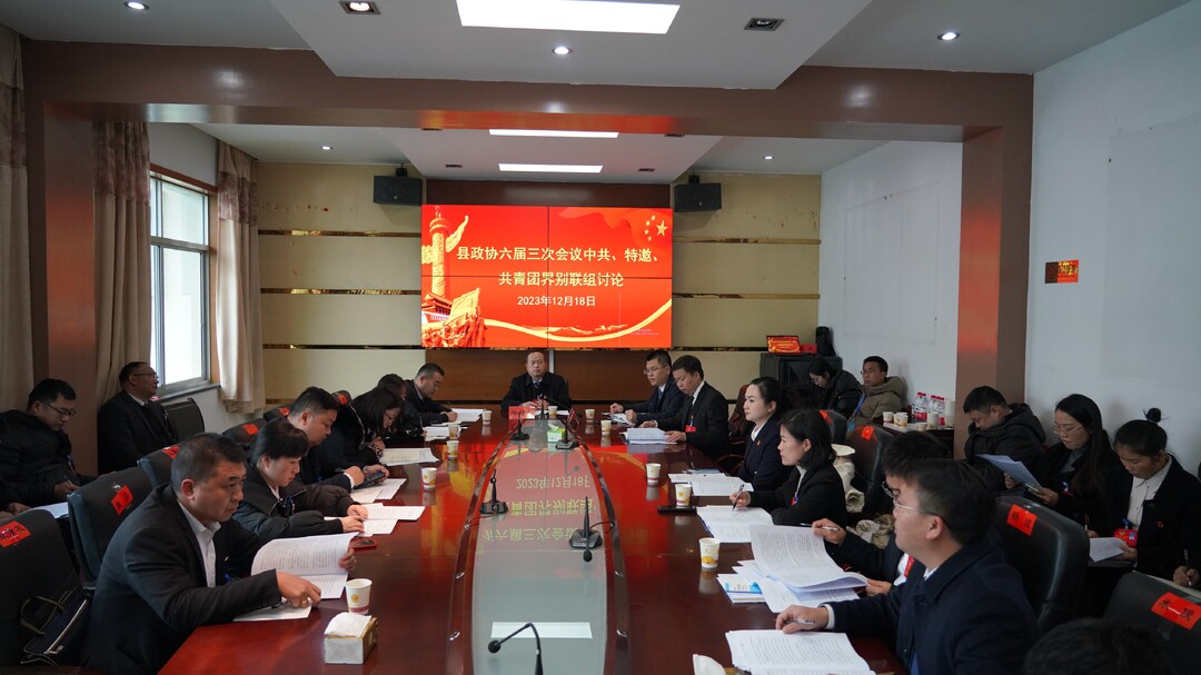 两会报道|政协委员分组讨论县政府工作报告 向付和等参加