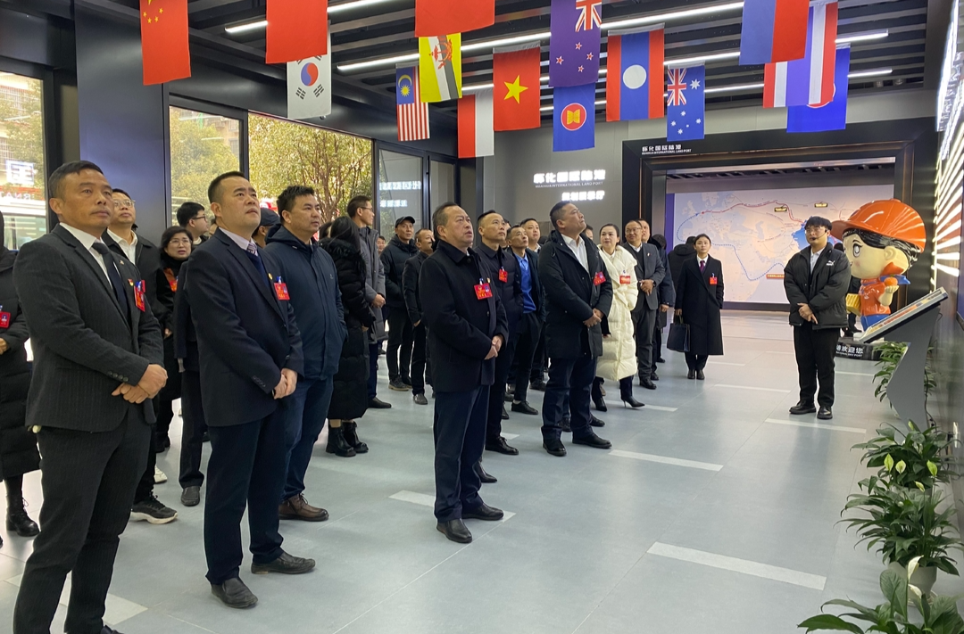 视频｜两会报道·中方县政协委员开展集中参观学习