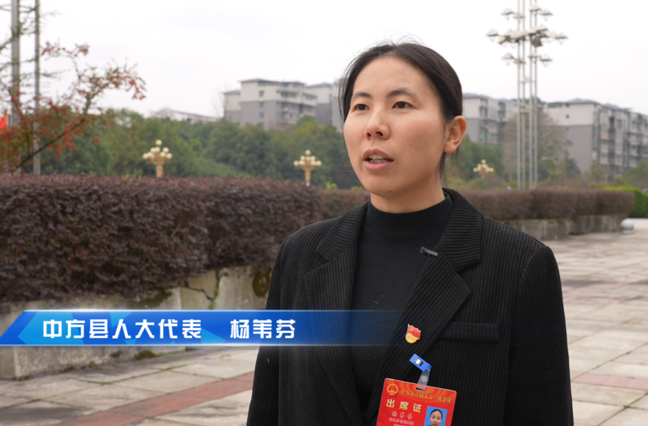 视频|两会报道·县人大代表热议政府工作报告： 杨苇芬
