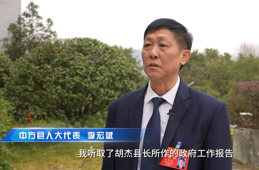 视频|两会报道·县人大代表热议政府工作报告：李宏斌