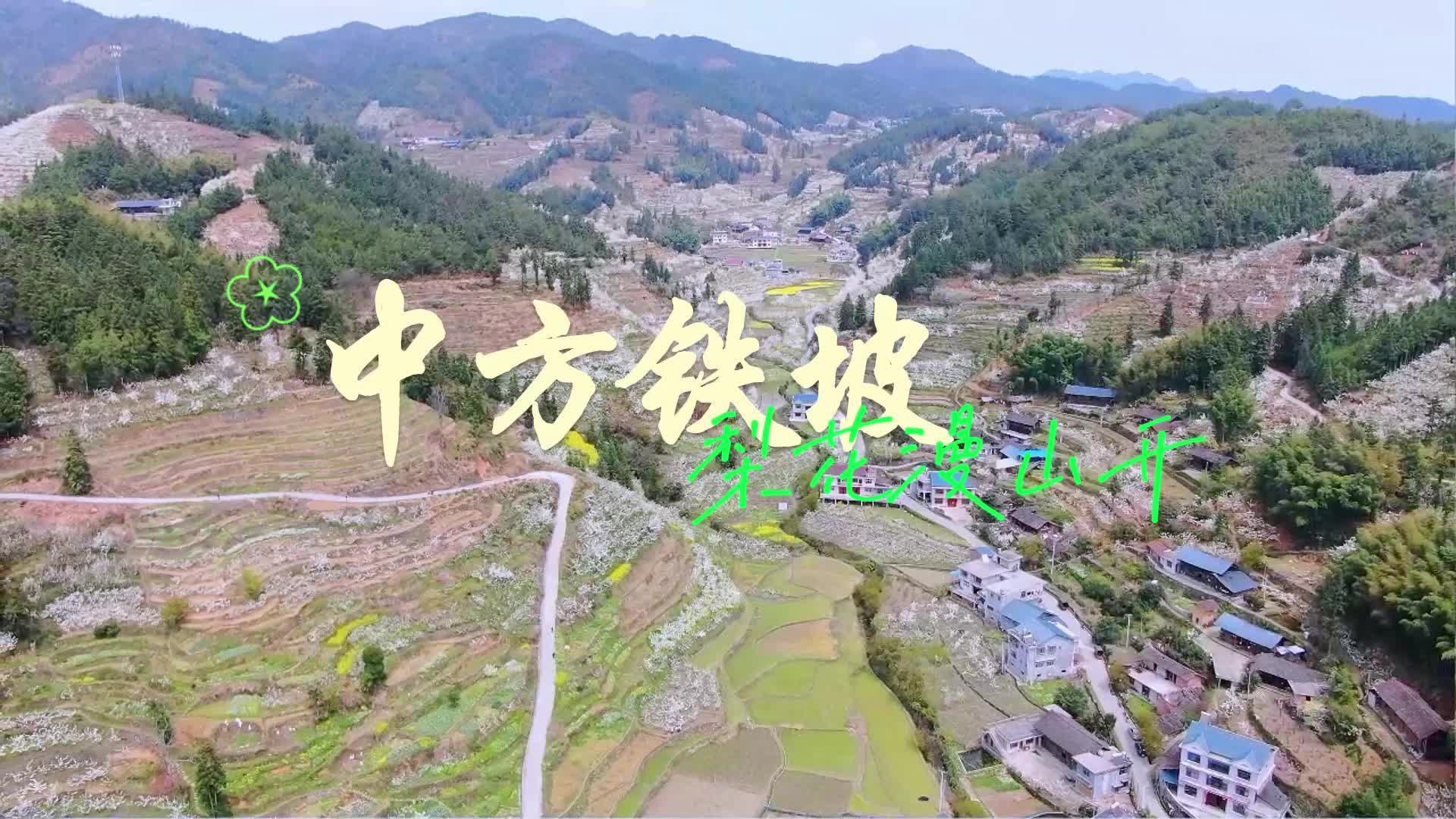 视频|中方县铁坡镇“梨花节”来啦！一场梨花雪，惊艳你的整个春天！