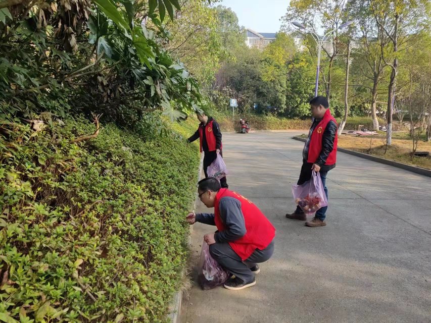 县政府办：开展学雷锋文明志愿活动