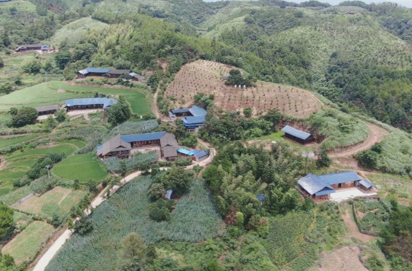 希望的田野|中方县桐木镇半界村：庭院经济让“半山境” 变成“聚宝盆”