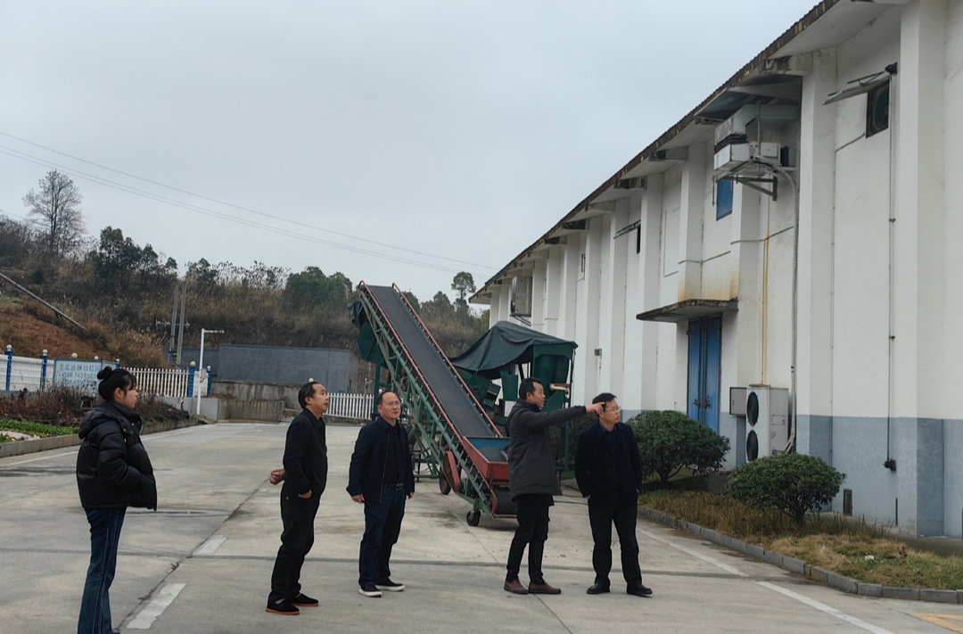 中方县粮食和物资储备局对县国有粮油购销有限公司进行粮食安全检查