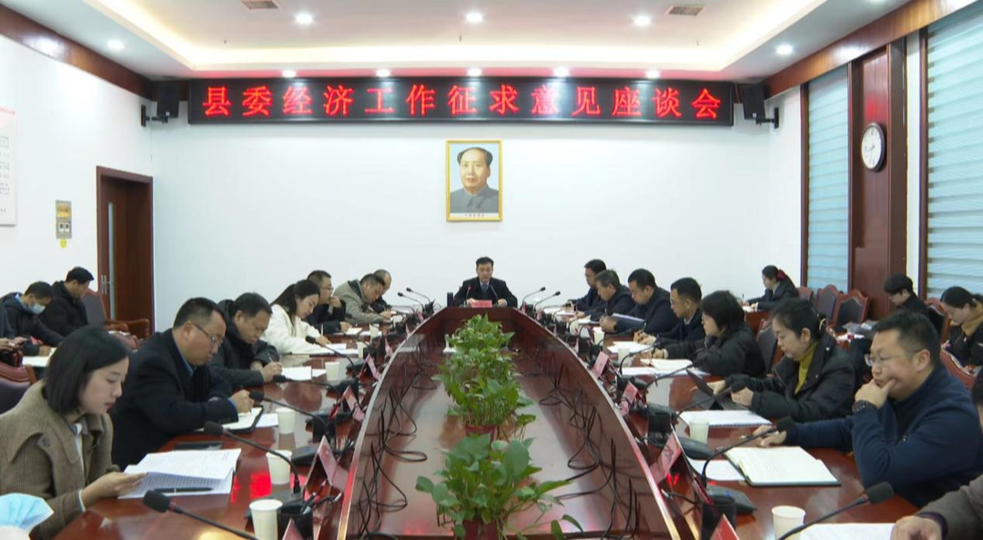 县委召开县直单位、乡镇负责人和“两代表一委员”座谈会征求对经济工作的意见建议